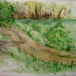 Дорожка в лес