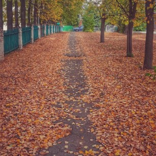 По дороге в школу!