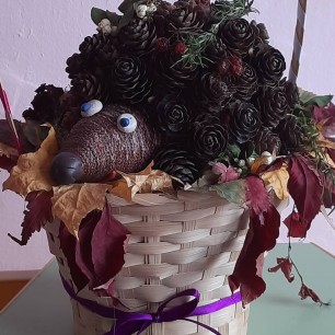 Колючий лесной житель