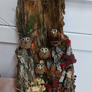 Глазастые совушки