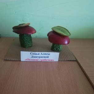 "Осенние грибочки"