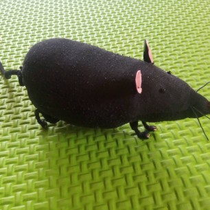 "Крыска Лариска"