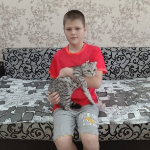Уши,лапы и хвосты