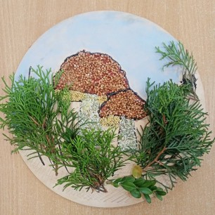 Грибная  полянка