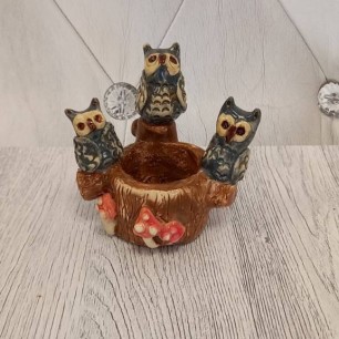 Сказочные совята