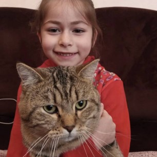 Мой котенок самый умный