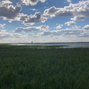 Пейзаж Астраханской области