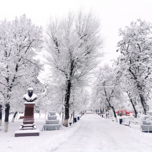 Зимний пейзаж