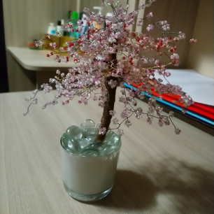 Цветущая сакура