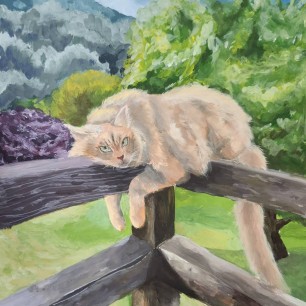 Как хорошо быть котом