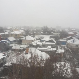 белоснежная улыбка зимы