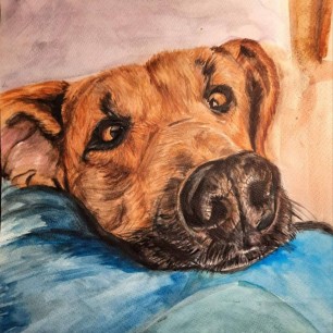 Лучший друг