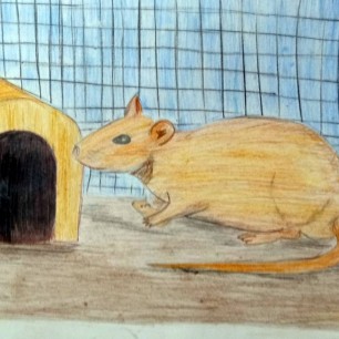 Такая забавная крыска)