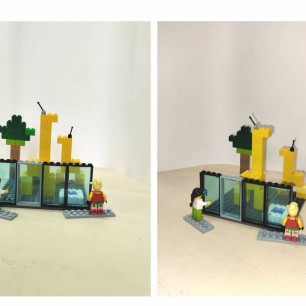 Жирафы в зоопарке