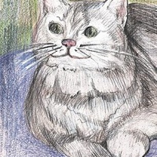 Кошка -Ласка