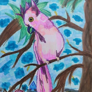 "Розовый попугай"