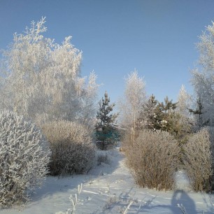 Зимний пейзаж