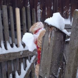 Самый первый снег