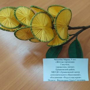 "Жëлтая гортензия"