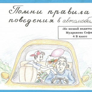 "Не мешай водителю!"