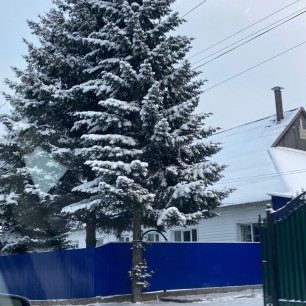 Надела дерево зимний наряд