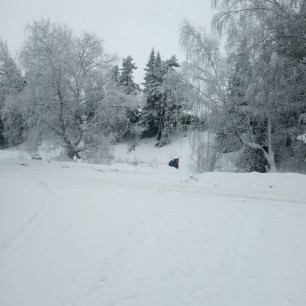 Первый снег