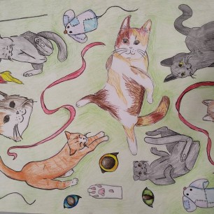 Разные котики