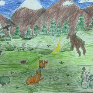 Друзья леса