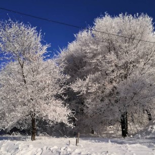 Чаровница зима