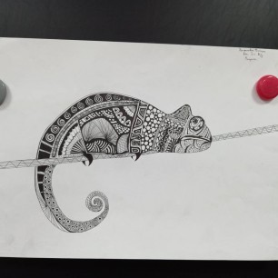 Хамелеон