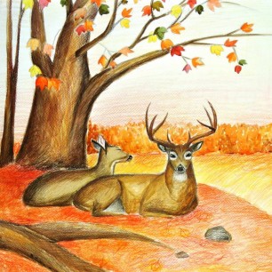 Ранним утром