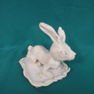 Зайчишка-беляк