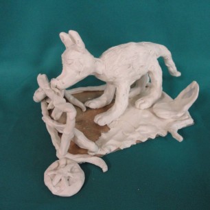 Волчок-белый бочок