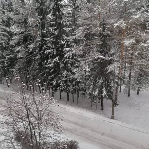 "Заснеженная дорога"