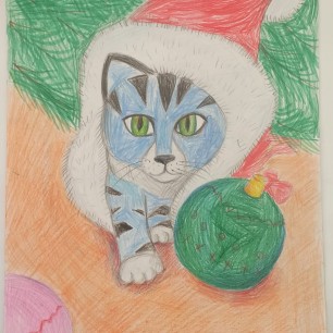 Кот разбойник