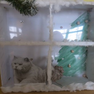 Кошка в зимнем окошке