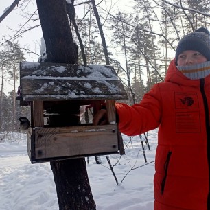 Кормление птиц в зимнем лесу