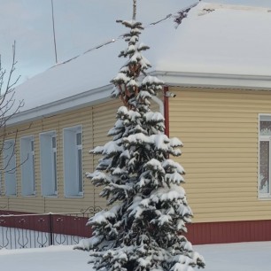 Елочка в снегу