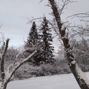 Уральская зима