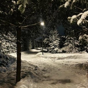 Зимний парк