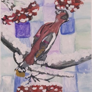 Свиристель