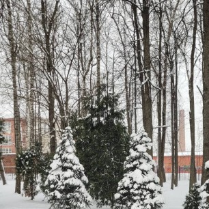 Зима в моём городе