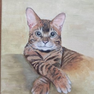 Котик