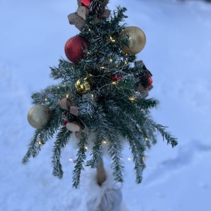 Новогоднее вдохновение