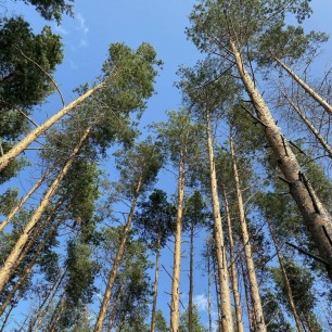 В гармонии с природой