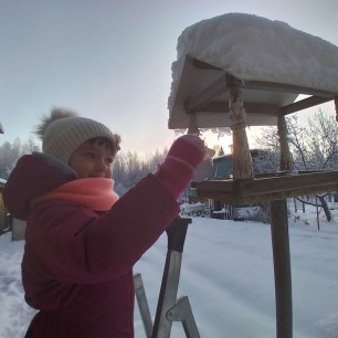 Наши пернатые друзья