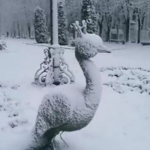 Зимушка-зима