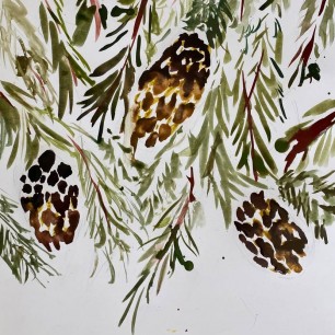 «Еловые ветви и их украшения»