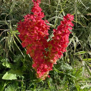 Знаки природы