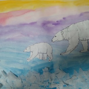"Белые медведи"